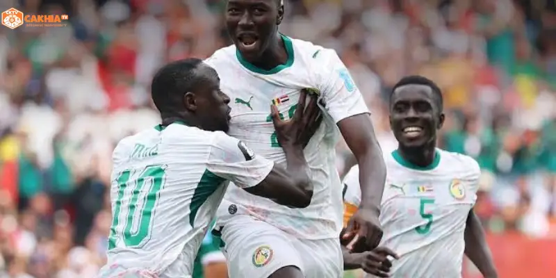  Bỉ vs Senegal World Cup 2026 sân vận động sôi động vòng 1/16